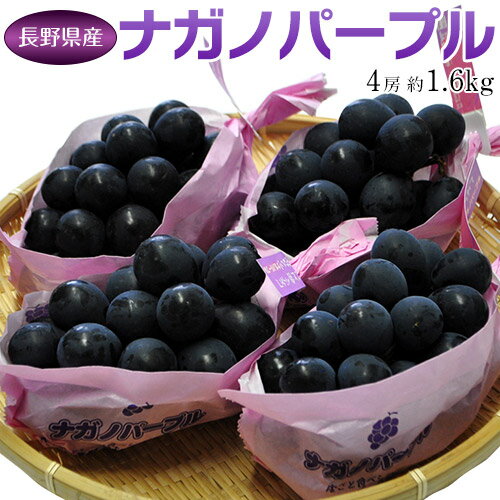 『ナガノパープル』 4房 合計約1.6kg 長野県産 ぶどう 簡易箱　※冷蔵 送料無料のサムネイル