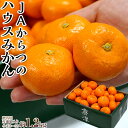 【実測糖度15.6度】みかん ミカン 蜜柑 JAからつ 小玉...