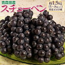 黒ぶどう 『スチューベン』青森県産　約1.5kg（5～8房