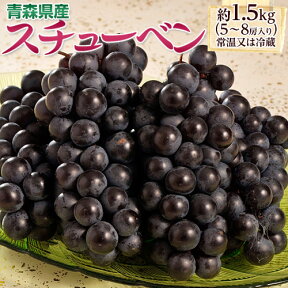 黒ぶどう 『スチューベン』青森県産　約1.5kg（5～8房 ）　※常温又は冷蔵　送料無料