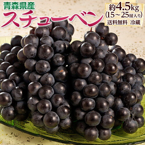 黒ぶどう 『スチューベン』青森県産　約4.5kg（15〜25房） ※冷蔵　送料無料