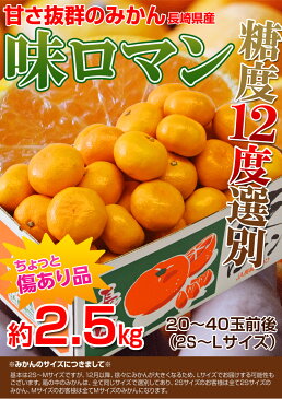 みかん ミカン 糖度12度選別 長崎県産 極甘みかん 味ロマン 約2.5kg (2S〜M) 送料無料