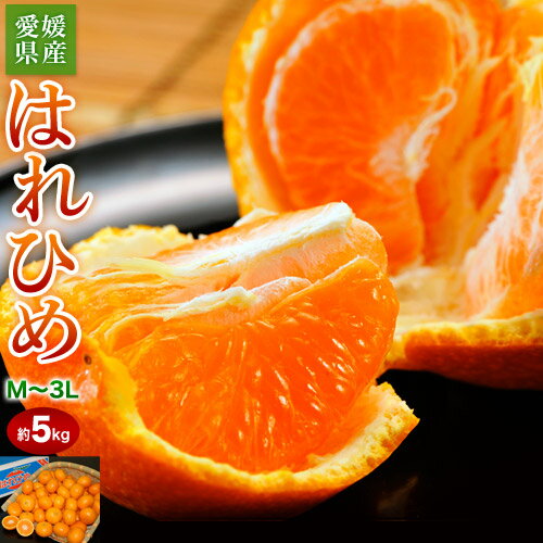 『はれひめ』愛媛県産柑橘 M〜3Lサイズ 約5kg 産地箱入 ※常温　送料無料