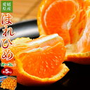 【カード・代引き限定】『はれひめ』愛媛県産柑橘 M〜3Lサイズ 約5kg 産地箱入 ※常温　送料無料