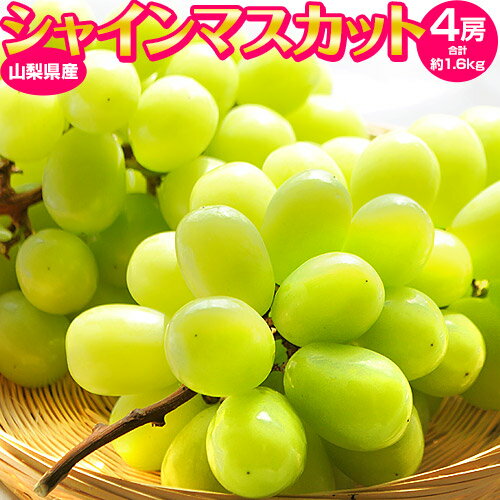 『シャインマスカット』 山梨県産 4房 計約1.6kg ご自宅用簡易梱包　※冷蔵 送料無料のサムネイル
