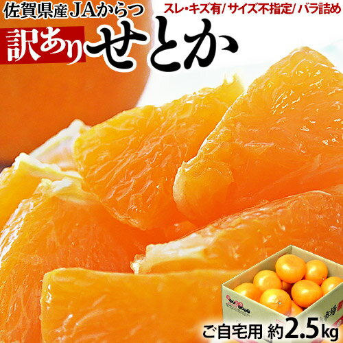 『せとか』ハウス栽培 佐賀県産 JAからつ 風袋込 約2.5kg スレ傷あり・サイズ不揃い 簡易梱包　※常温　送料無料　柑橘のサムネイル