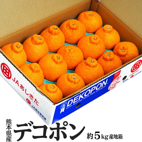 「デコポン」 熊本県産 優品以上 大玉 約5kg（12〜15玉）産地箱 ※常温　送料無料　熊本デコポン 柑橘