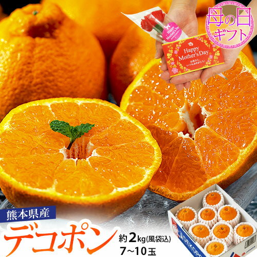 《母の日ギフト》デコポン 熊本県産 約2kg(風袋込) 7～10玉 化粧箱 カーネーション(造花)＋メッセージカード　※常温 送料無料のサムネイル