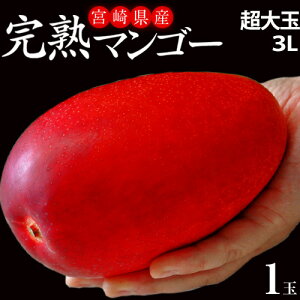 超大玉『みやざき完熟マンゴー』宮崎県産 3L(450～509g) ×1玉 ※常温 送料無料