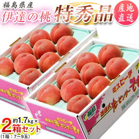 【カード・代引き限定】福島県産 伊達の桃 ミスピーチ ＜特秀品＞ 約1.7kg×2箱 (1箱：7～9玉) 産地直送 ※常温 送料無料