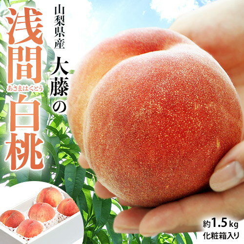 桃 もも モモ 山梨県産 大藤の『浅間白桃』 特秀品 約1.5kg (5～7玉) 化粧箱入り ※常温 送料無料