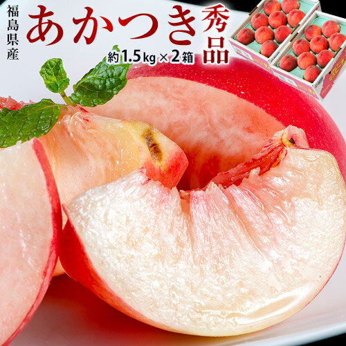 『伊達の桃 あかつき』福島県産 約1.5kg (5～9玉) × 2箱 秀品 産地箱 ※常温 JAふくしま未来 送料無料