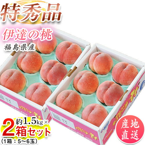 福島県産 ミスピーチ 伊達の桃 特秀品 大玉 約1.5kg×2箱 JAふくしま未来 (1箱：5～6玉) ※常温 送料無料　桃のサムネイル