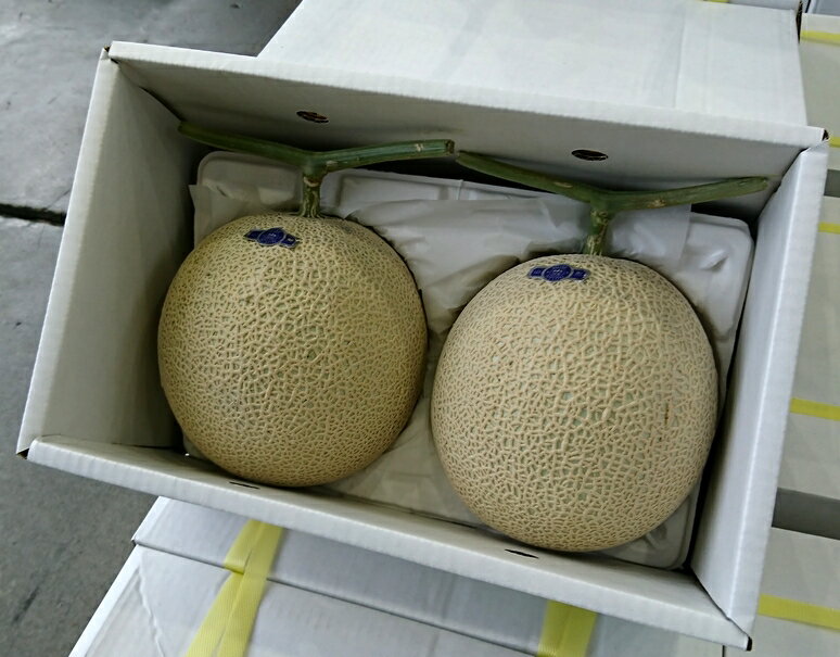 超大玉『庄内 マスクメロン（青肉）』山形県産 2玉 計約4kg 産地箱 風袋込　送料無料のサムネイル