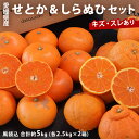 『せとか＆しらぬひセット』愛媛県産 柑橘 キズ・スレあり 風袋込 合計約5kg (各2.5kg×2箱)　※常温　送料無料