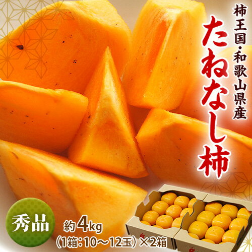 たねなし柿　和歌山産　JA紀の里　秀品　約2kg×2箱 (1箱：10～12玉入) ※常温 送料無料のサムネイル