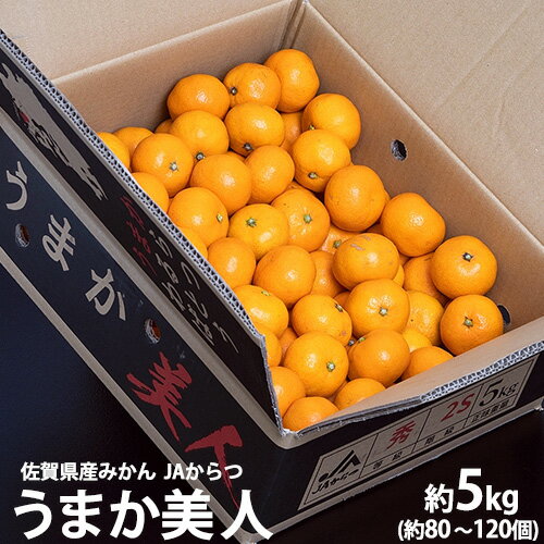 JAからつ 『うまか美人』 みかん 佐賀県産 超小粒(2S～3S) 約5kg 目安として80～120個程度 ※常温　送料無料 ※生育状況によってはSサイズで出荷のサムネイル