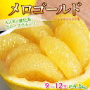 『メロゴールド』カリフォルニア産 柑橘 約4.5kg （9～12玉） 簡易包装 ※常温 送料無料
