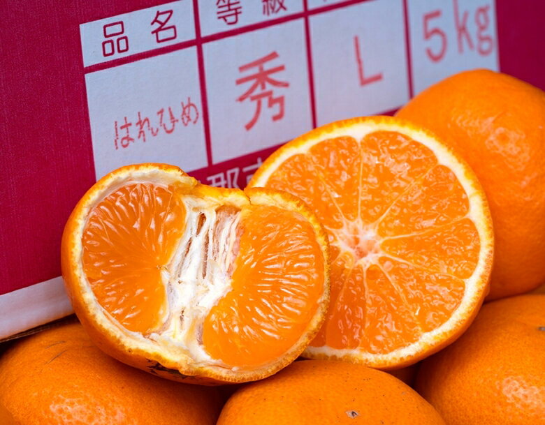 カード又は代引き限定　JA蒲郡市　はれひめ　愛知県産柑橘 秀品　超大玉 3L 風袋込 約4kg 産地箱 ※常温　送料無料のサムネイル