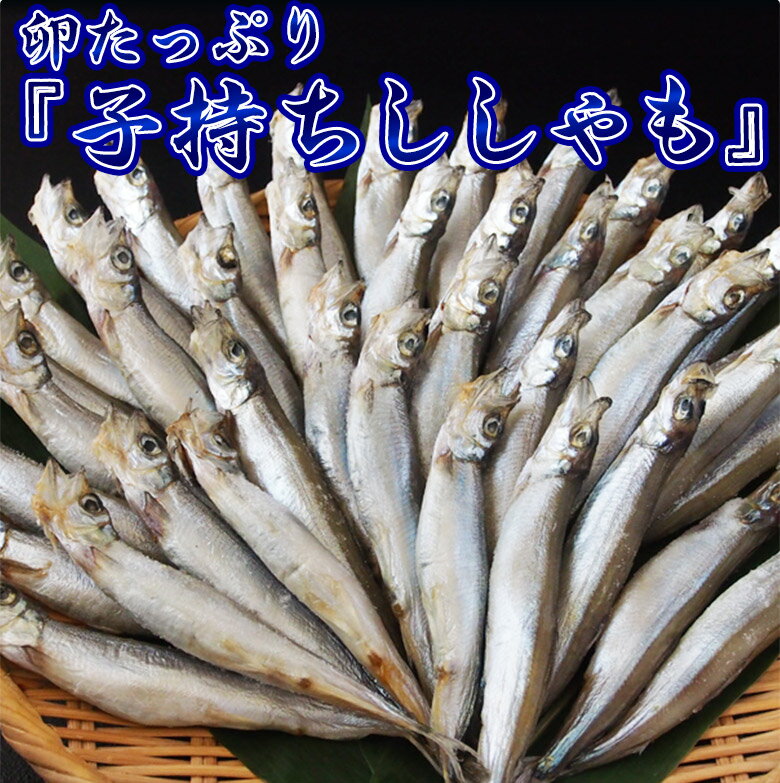 からふと ししゃも メス ノルウェー産 計1kg 120尾前後 （500g×2袋） ※冷凍