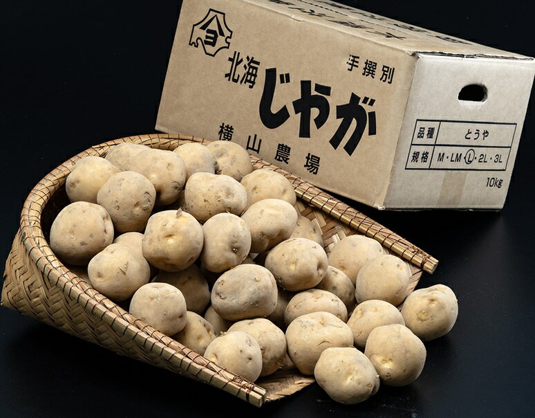 【芽が出た訳あり品】熟成　とうや (黄爵)　じゃがいも　北海道産　M〜Lサイズ　約10kg　秋収穫のひね..