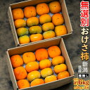 『おけさ柿(種無し)』新潟県産 スレ・キズあり 無選別 ご自宅用 計6kg(約3kg×2箱)簡易箱 柿 ※常温 送料無料