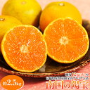糖度12度以上 南国の陽宝(ひほう) 宮崎県産みかん 小玉 3S~S 約2.5kg 産地箱 ※常温 送料無料