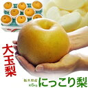 大玉 にっこり梨 栃木県産 優〜秀 約5kg(6〜10玉)簡易箱 ※冷蔵 送料無料