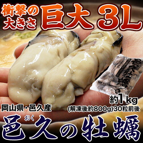 旅サラダで紹介 岡山・邑久産 『超巨大カキ（ムキ身）』　 3Lサイズ　約1kg（解凍後約800g）　※冷凍　加熱調理用　牡蠣（かき/カキ）　sea　☆