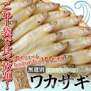 たっぷり100匹前後!!北海道・尾岱沼産「ワカサギ」大ボリューム1kg(無選別) ※冷凍 sea ☆ - 築地からの直送便