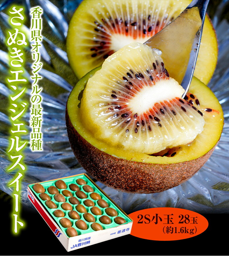 キウイキウイフルーツ香川産さぬきエンジェルスイート2S28玉約1.6kg簡易梱包送料無料