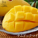 マンゴー タイマンゴー ナムドックマイ タイ産 3玉 合計約900g 果物 フルーツ ギフト 常温 送料無料