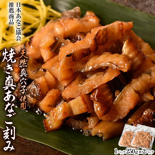 穴子 アナゴ 天然真あなご使用！ 焼き真あなご刻み 1P（250g）×2P 合計500g 送料無料