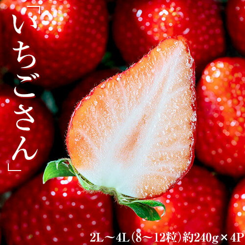 『いちごさん』 佐賀県産 いちご 2L～4L（8～12粒） 約240g×4パック ※冷蔵 送料無料