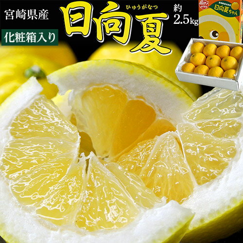 日向夏 ひゅうがなつ 宮崎県産 約2.5kg 11〜13玉 送料無料