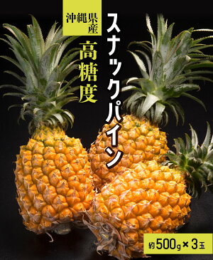 パイナップル 沖縄県産 スナックパイン 約500g×3玉 (合計約1.5kg)　送料無料