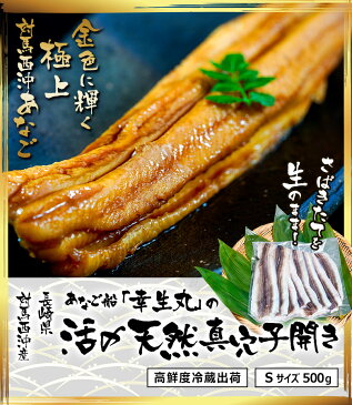 アナゴ 穴子 長崎県 対馬西沖産 あなご船「幸生丸」活〆 天然 真穴子 開き Sサイズ 約500g 産地直送 冷蔵出荷