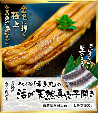 アナゴ 穴子 長崎県 対馬西沖産 あなご船「幸生丸」活〆 天然 真穴子 開き Lサイズ 約500g 産地直送 冷蔵出荷