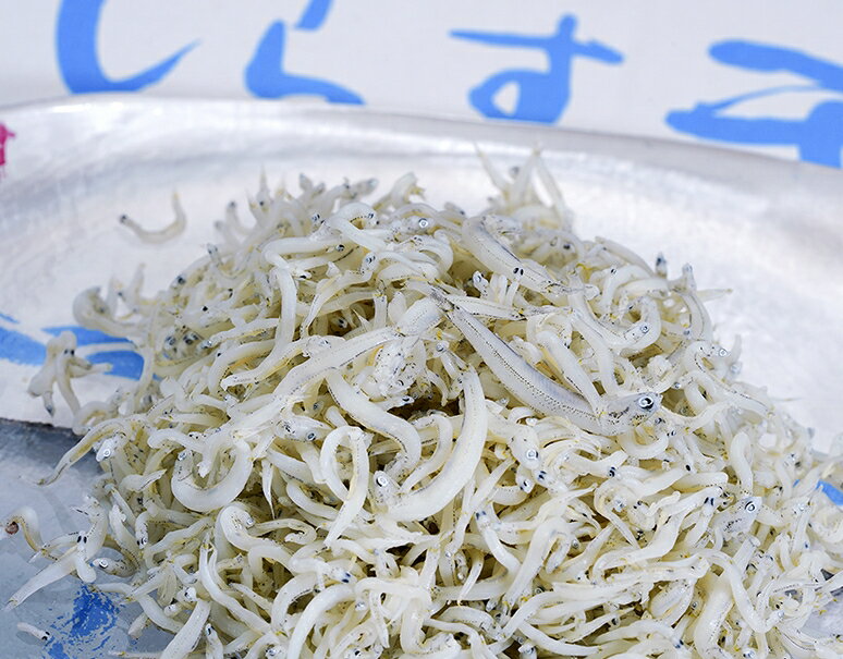 釜揚げ しらす干 国産 1kg 訳あり品（サイズ不揃い） ※冷凍 送料無料　シラス　シラス干のサムネイル