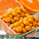 【糖度12度選別】 極甘みかん 味ロマン JA長崎せいひ 約2.5kg×2箱 外皮に傷あり (2S~Mサイズ)※常温 送料無料