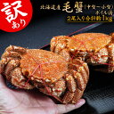 訳あり毛ガニ 北海道産 堅蟹ランク 2尾 約1kg ※冷凍 送料無料