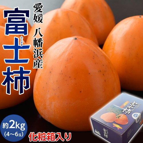 『富士柿』 愛媛県産 約2kg（4〜6玉）化粧箱入り ※常温送料無料