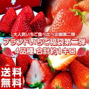 ギフト 贈答 いちご イチゴ 苺 ブランドいちご福袋 第二弾 4品種 合計約1キロ (佐賀県産 いちごさん 約240g ＋ 長崎県 ゆめのか 約270g ＋ 熊本県 ひのしずく 約300g ＋ 静岡県 紅ほっぺ 約270g）送料無料