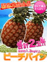 《送料無料》緊急ヘルプ!! ピ...