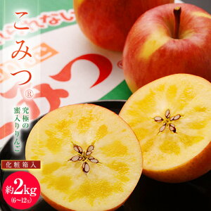 特選品　蜜入りりんご『こみつ』青森県石川地区産 約2kg(6～12玉) ※常温 送料無料