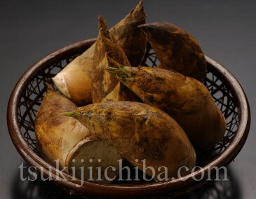 『早掘り筍』 鹿児島・福岡産 Lサイズ 約2kg(目安として7〜9本) たけのこ タケノコ 竹の子 春 贈り物 ギフト 贈答 プレゼント 冷蔵 ○