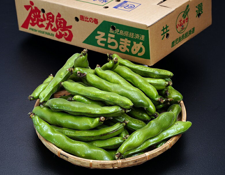 有機マッシューム抹茶ブレンド(125g)【Mideco Organics】