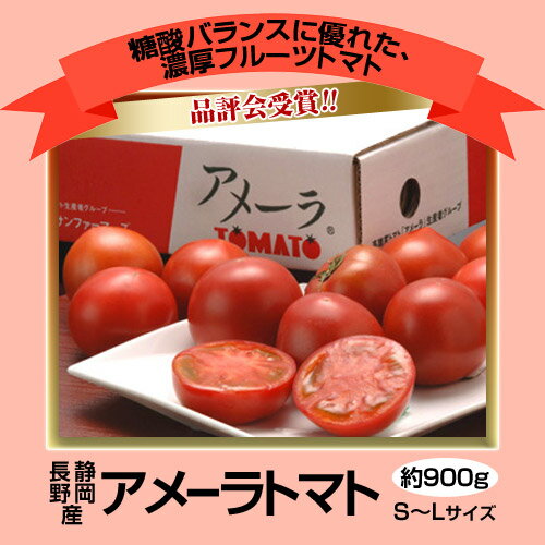 品評会受賞・全国の野菜ソムリエが認めたトマト！【濃厚フルーツトマト！】　静岡・長野産　アメーラトマト　1箱　S〜Lサイズ　約900g