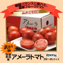 知名度No.1ブランド静岡・長野産 アメーラトマト 1箱 3S〜2Lサイズ7(7〜25玉) 約900g 《訳あり品》