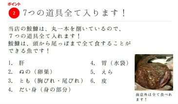 生鮟鱇 極上アンコウ 絶品！北海道産・青森県産 他 アンコウ鍋用 約1.5kg-2kg［豊洲直送］贈答 グルメ 鮮魚 あんこう鍋【鮟鱇1.5-2K】 冷蔵